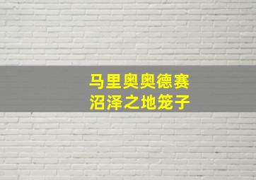 马里奥奥德赛 沼泽之地笼子